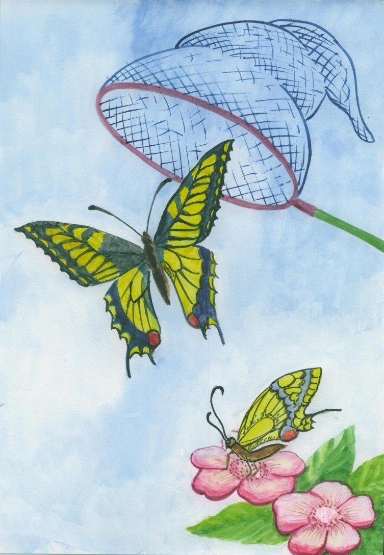 Мир бабочек рисунок. Бабочка рисунок. Бабочки и Стрекозы рисование для детей. Ловить бабочек. Рисуем бабочку.