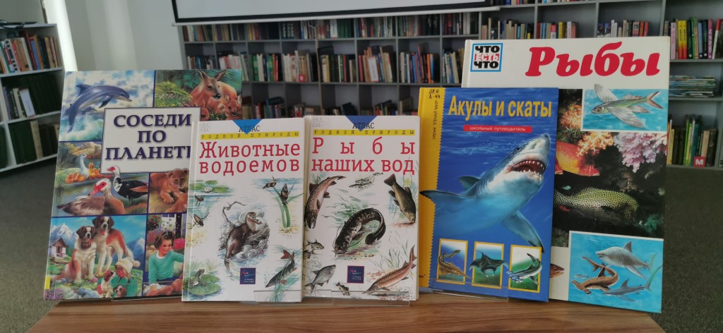 Ловись, рыбка!
