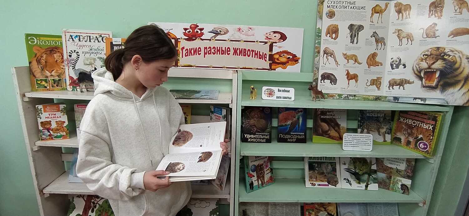 Мир удивительных животных