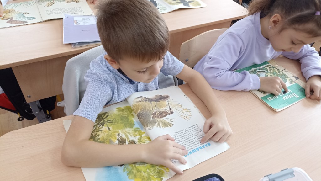 Пернатые зимовщики