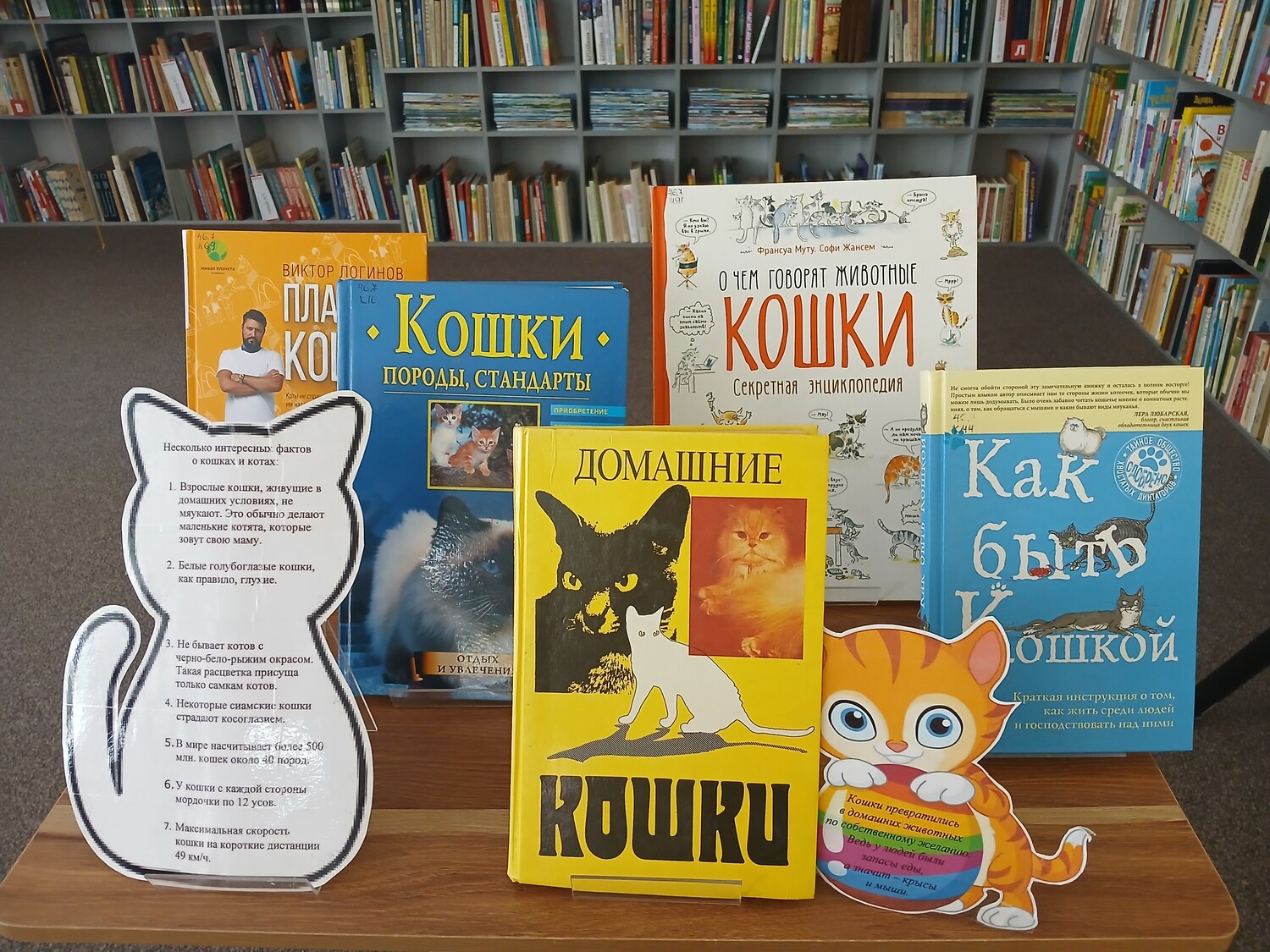 Мягкие лапки, а в лапках - царапки