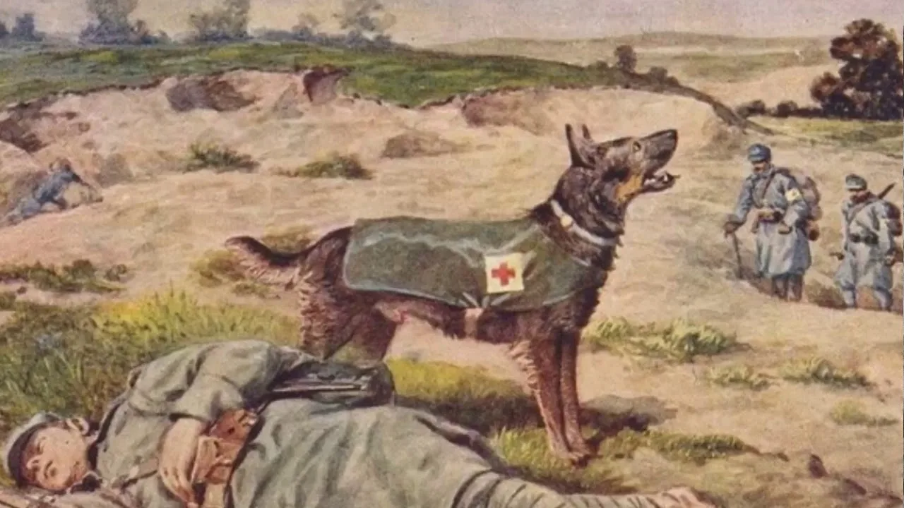 Без званий и наград