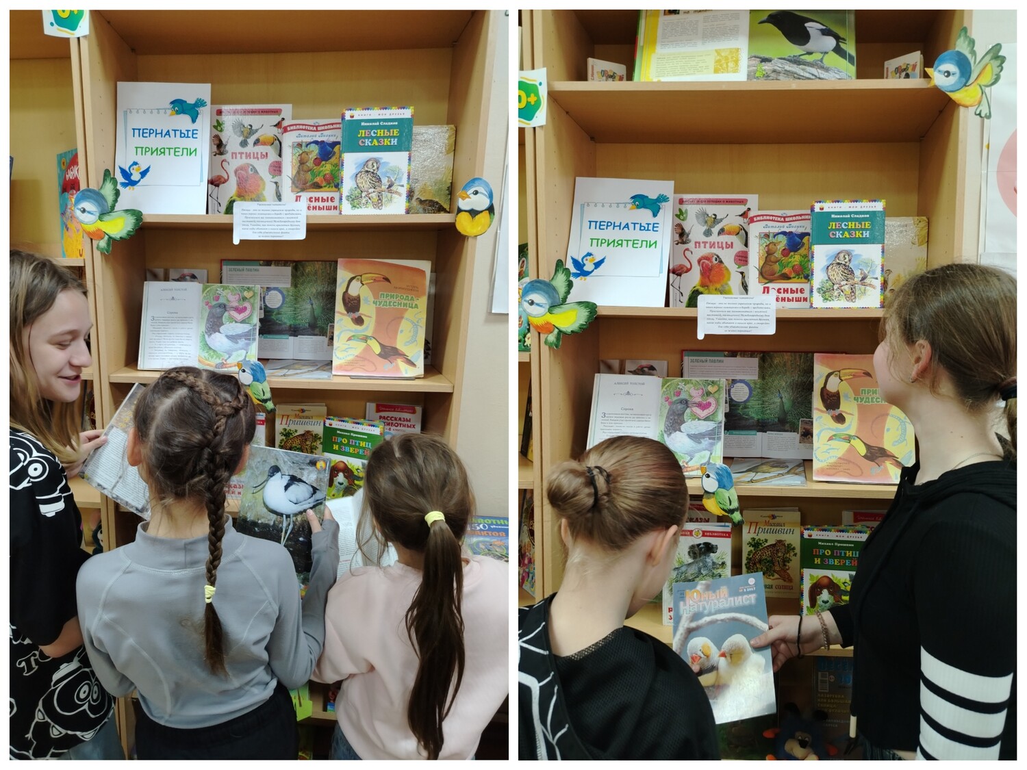 Наши пернатые приятели